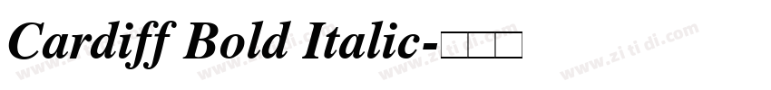 Cardiff Bold Italic字体转换